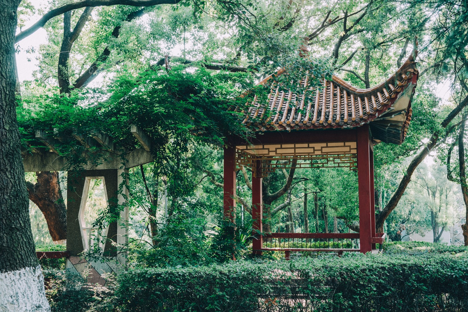 亚洲av